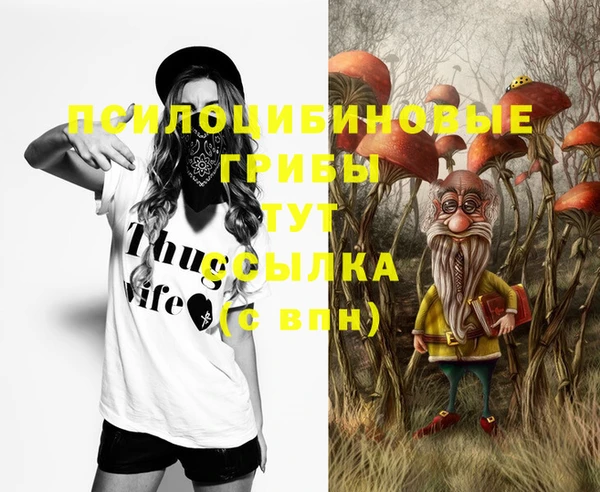 каннабис Алзамай